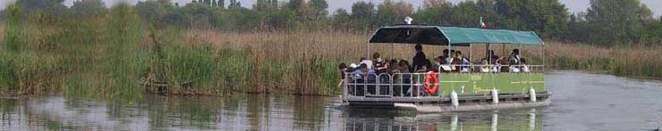 Laghi di Mantova